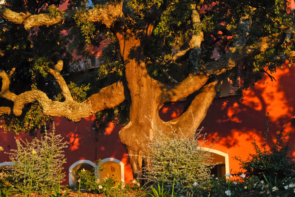 Giardino Dei Sugheri Скарлино Экстерьер фото